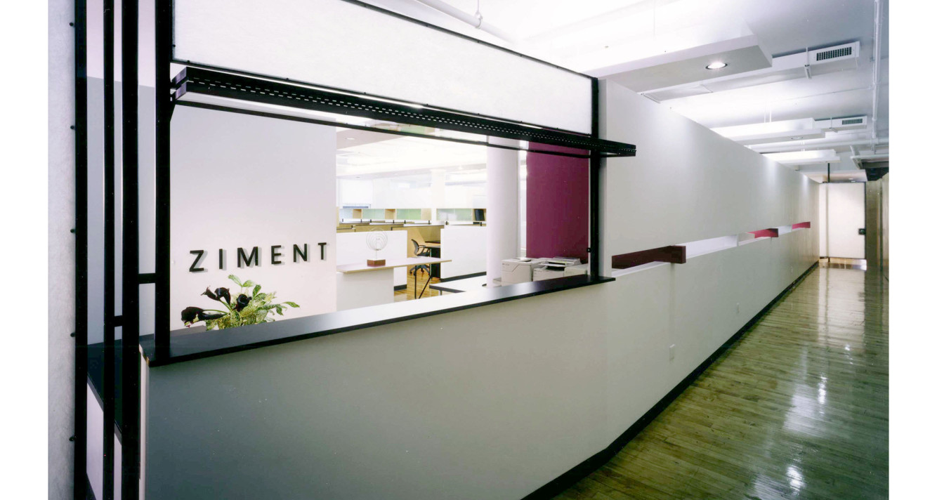 08-Ziment-Associates